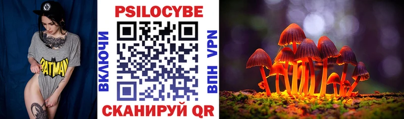 Псилоцибиновые грибы MAGIC MUSHROOMS  Полысаево 