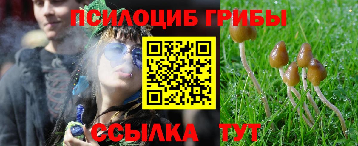 магазин    Вход с VPN  Полысаево  Галлюциногенные грибы ЛСД 